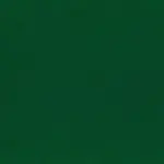 Green Jacket 921 | Toudor