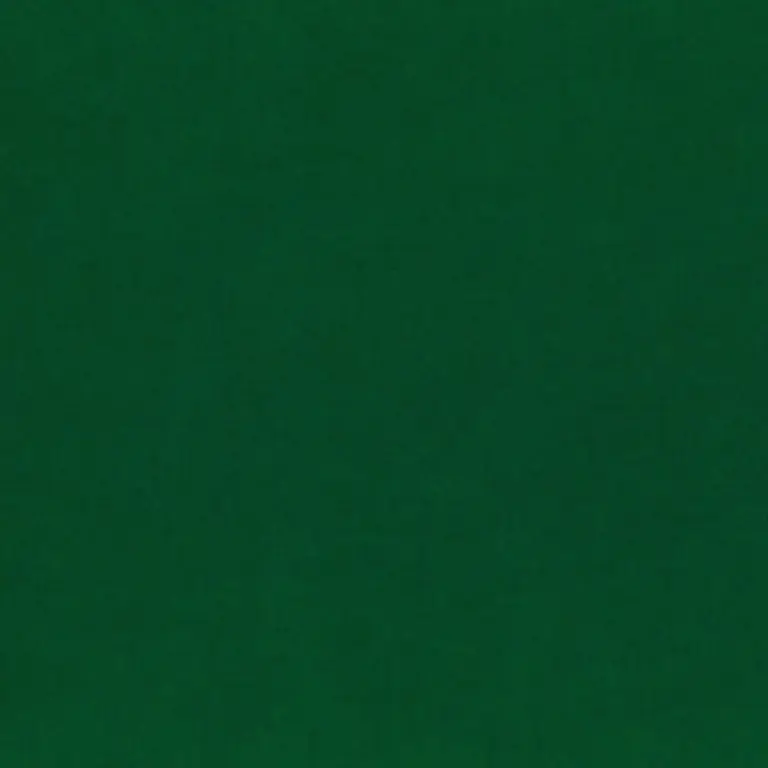 Green Jacket 921