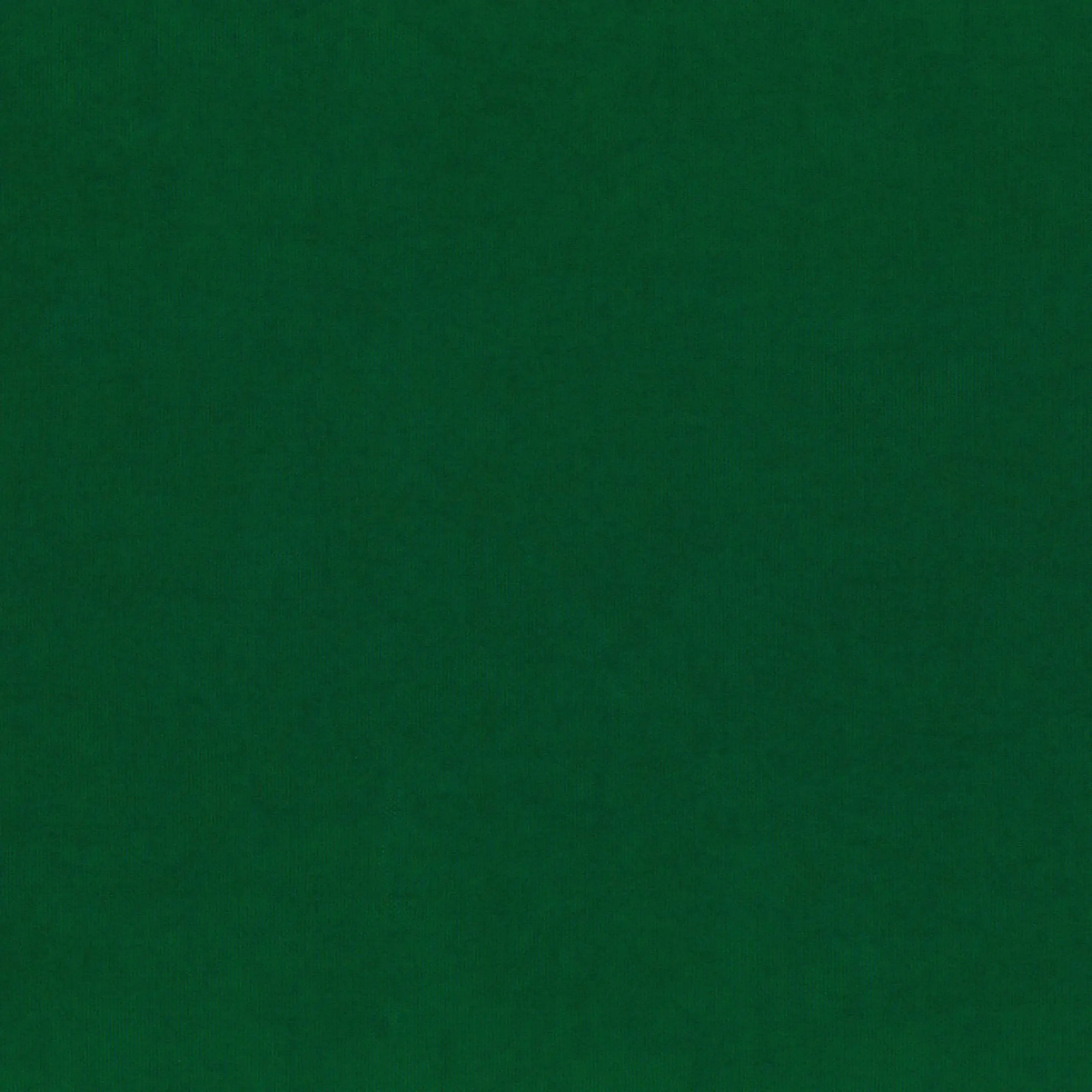 Green Jacket 921 | Toudor