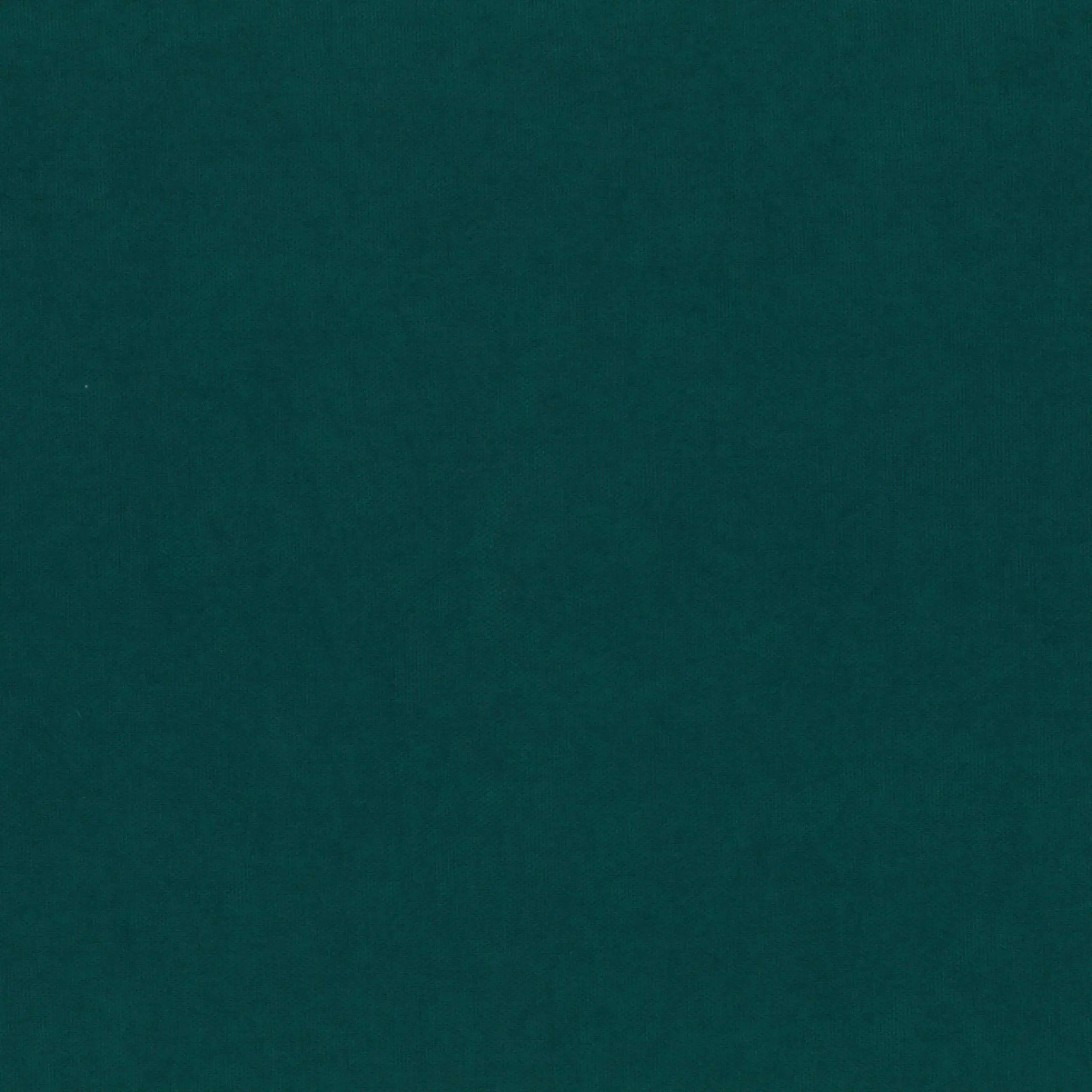 Gulf Coast 923 | Toudor