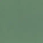 Iceberg Green 248 | Toudor