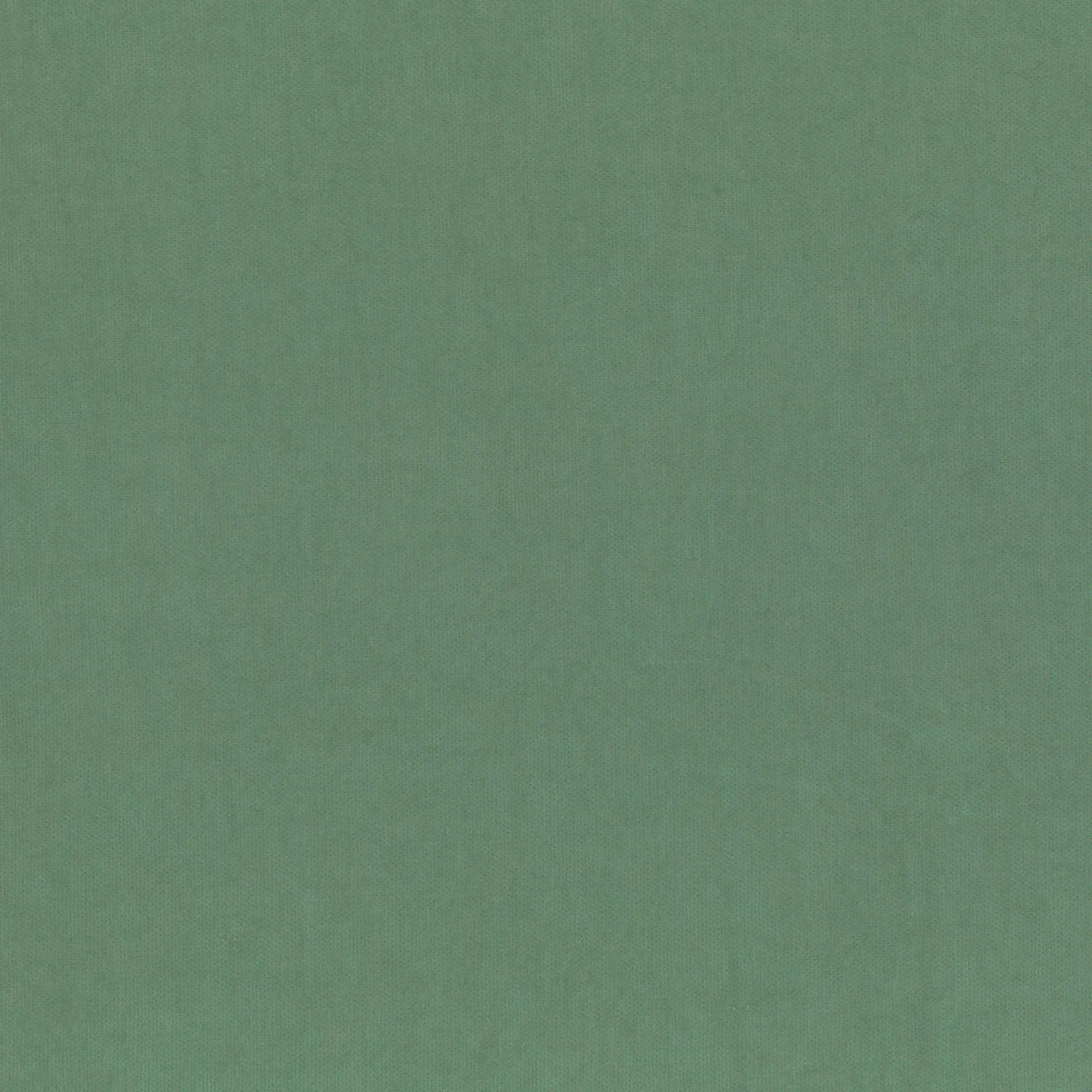 Iceberg Green 248 | Toudor