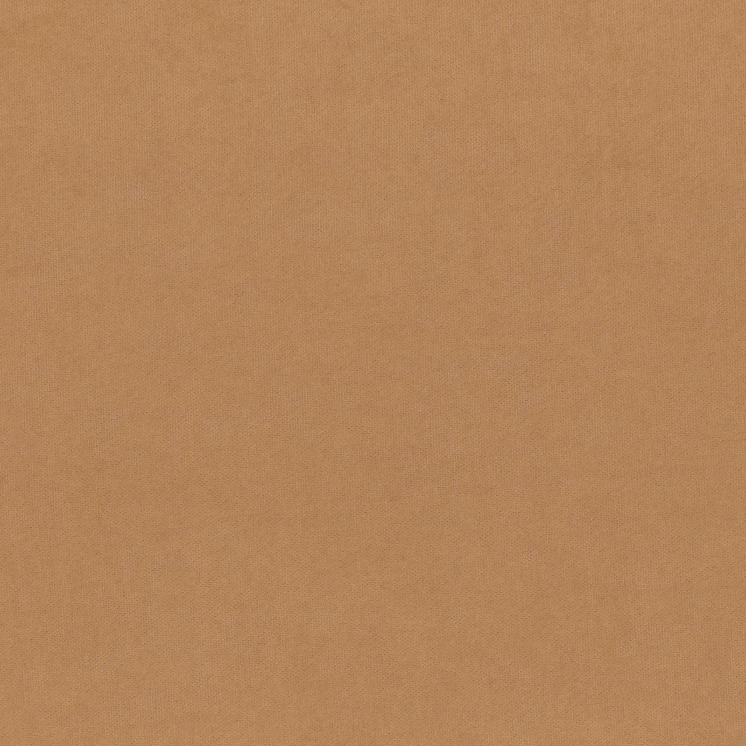 Indian Tan 914 | Toudor