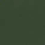 Kombu Green 920 | Toudor