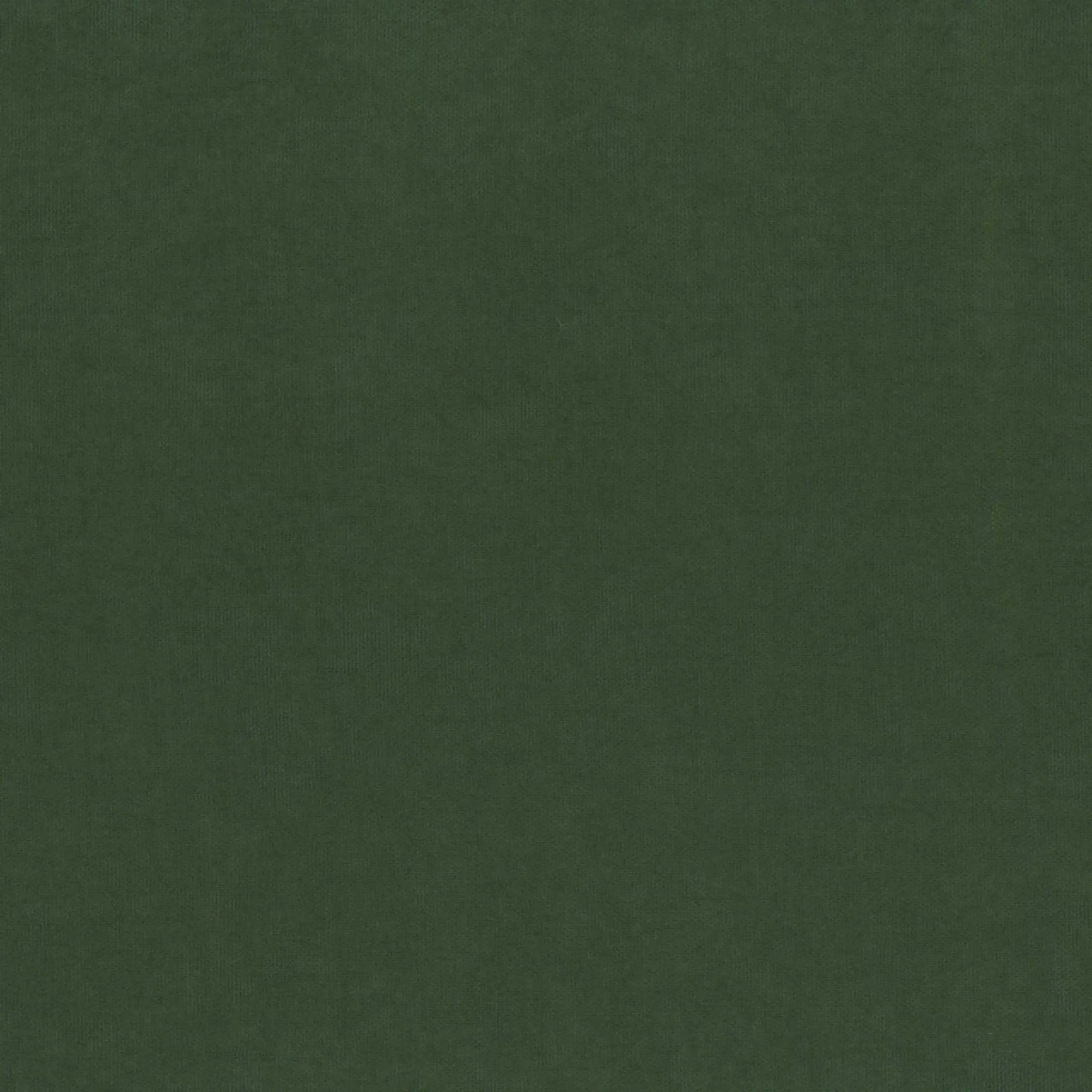 Kombu Green 920 | Toudor