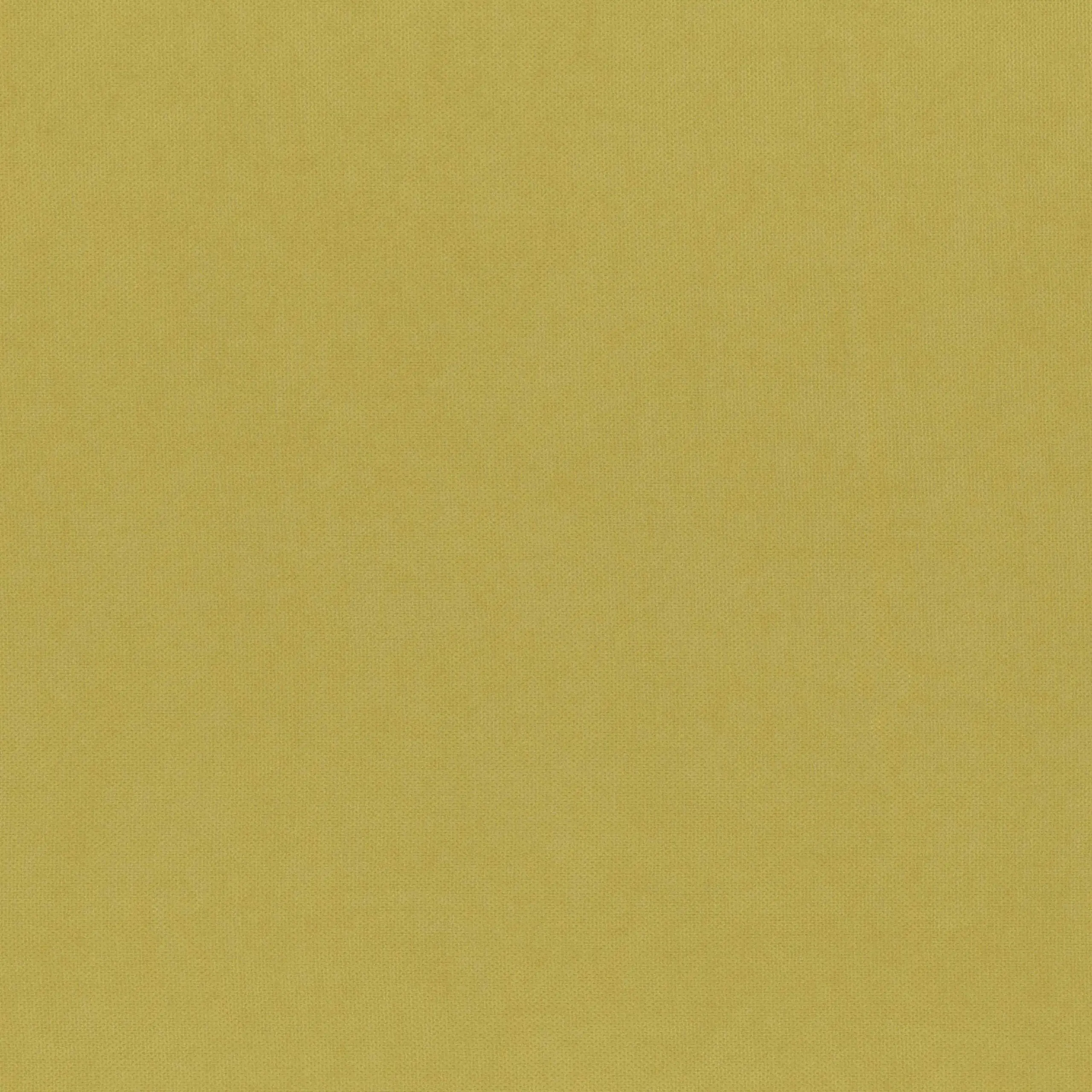 Leek Green 249 | Toudor