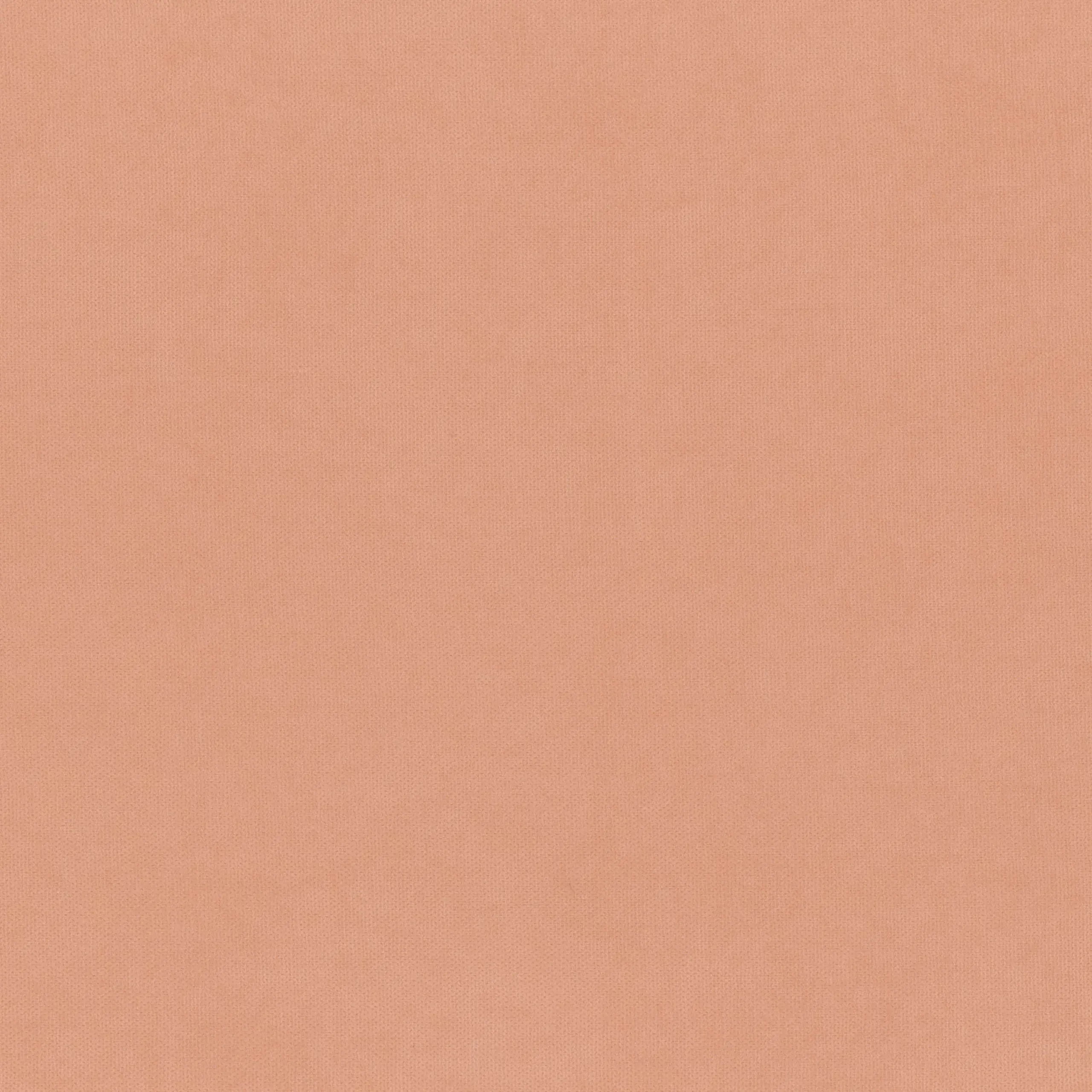 Mellow Rose 909 | Toudor