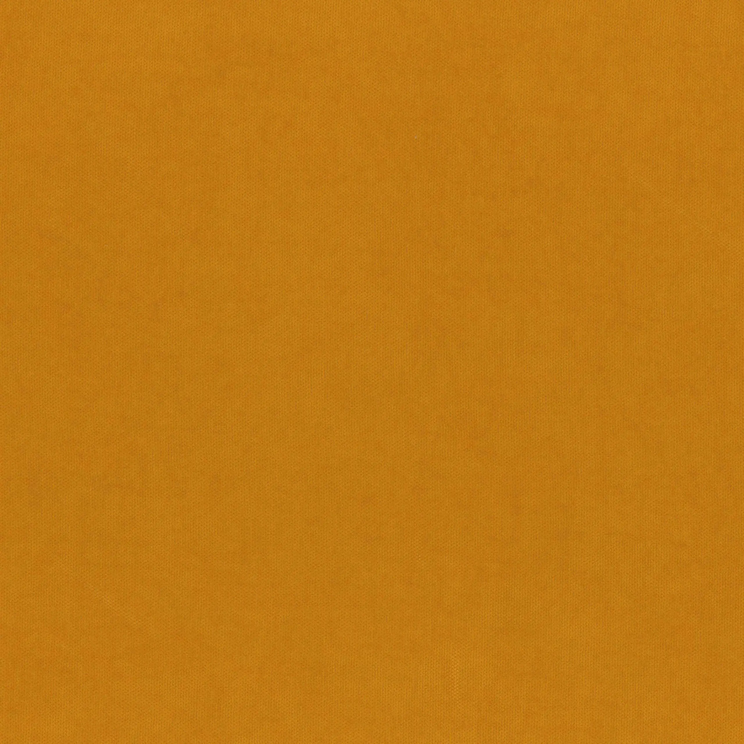 Nugget Gold 917 | Toudor