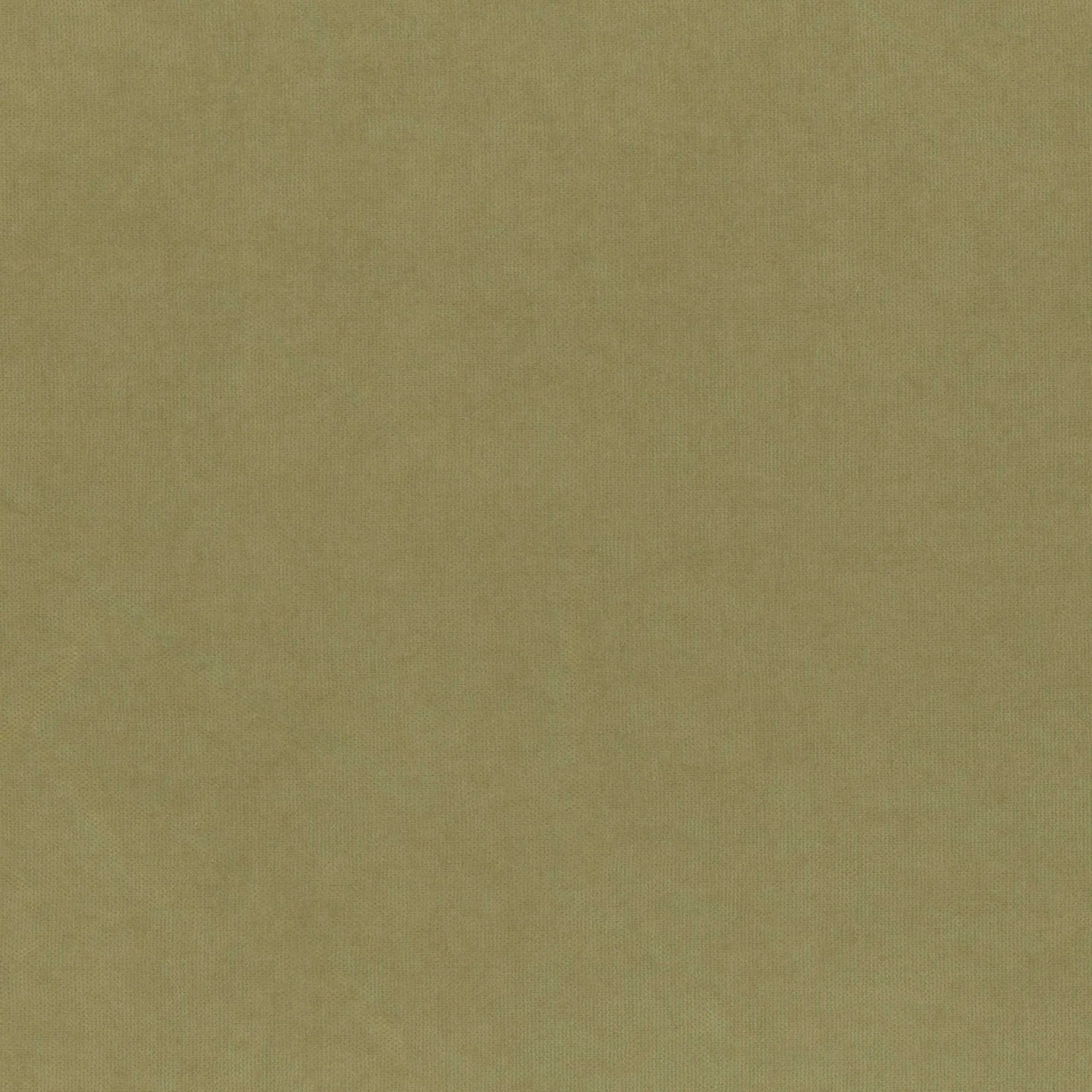 Olive Drab 918 | Toudor