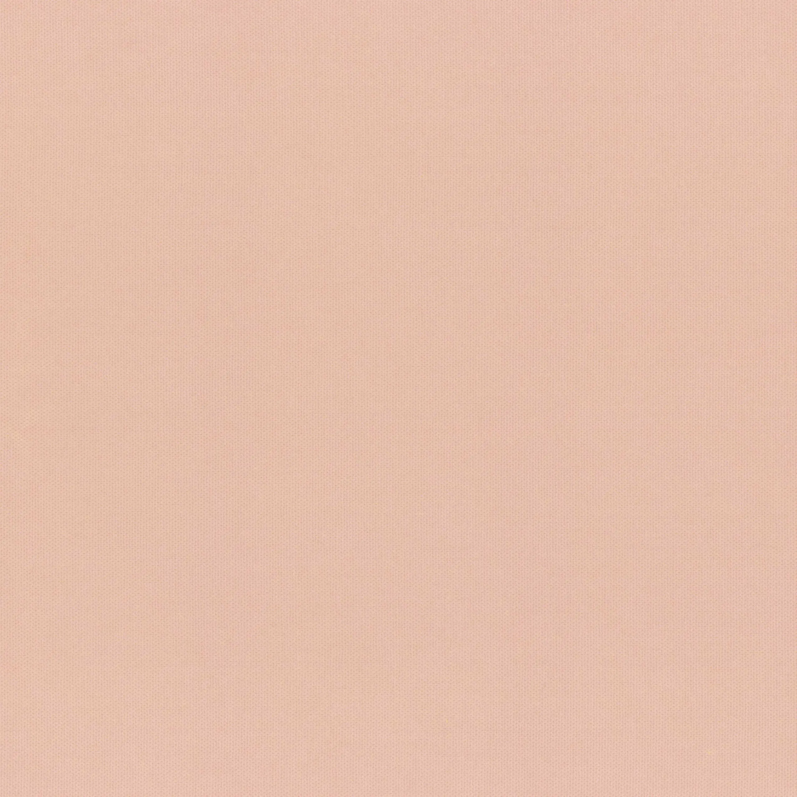 Pale Lilac 935 | Toudor