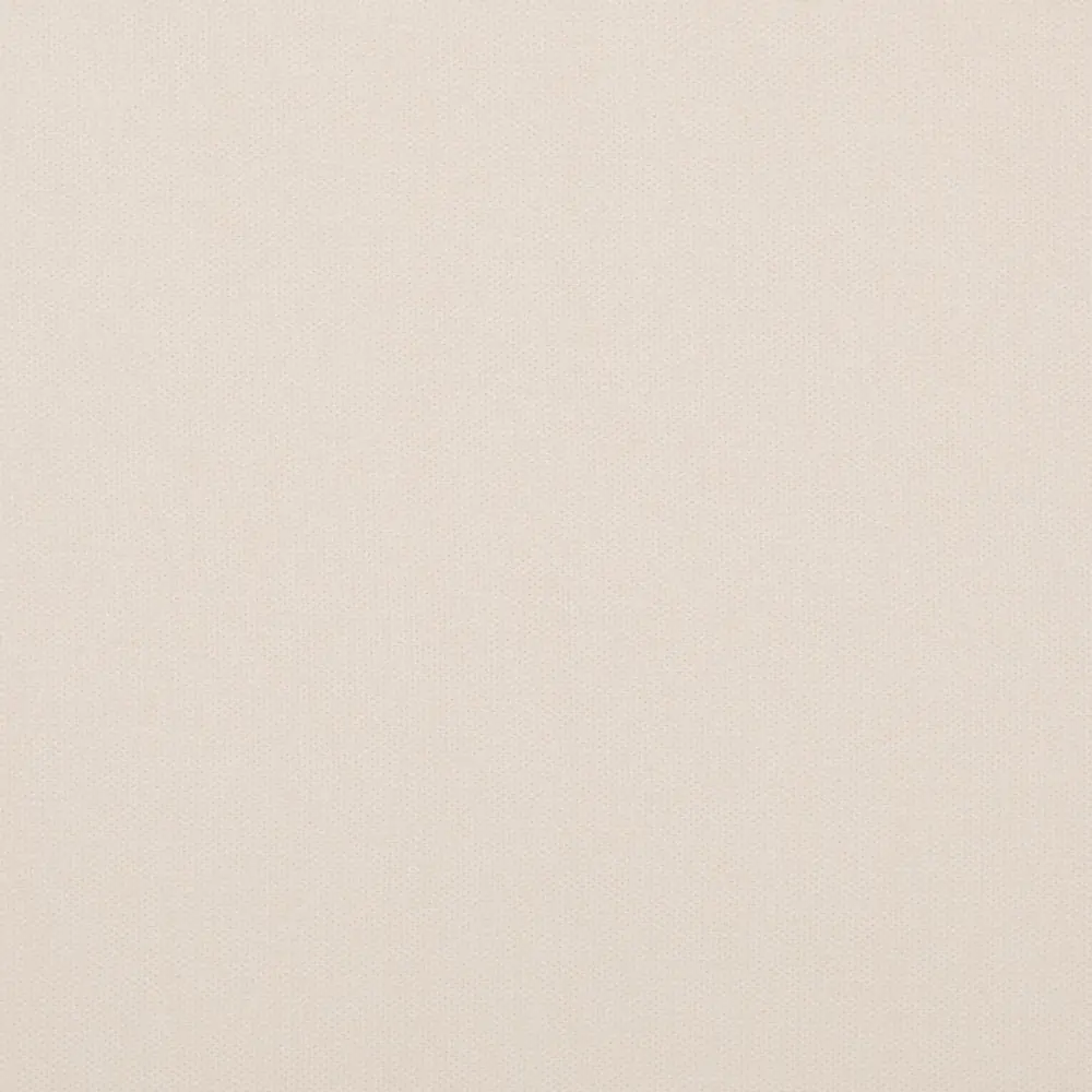 Pastel Parchment 904 | Toudor