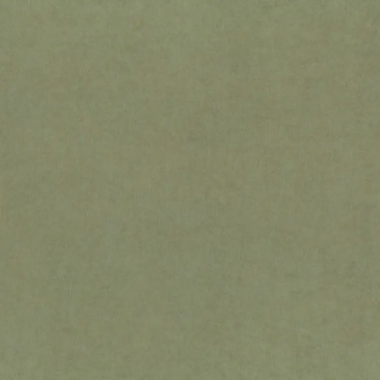Seagrass 919