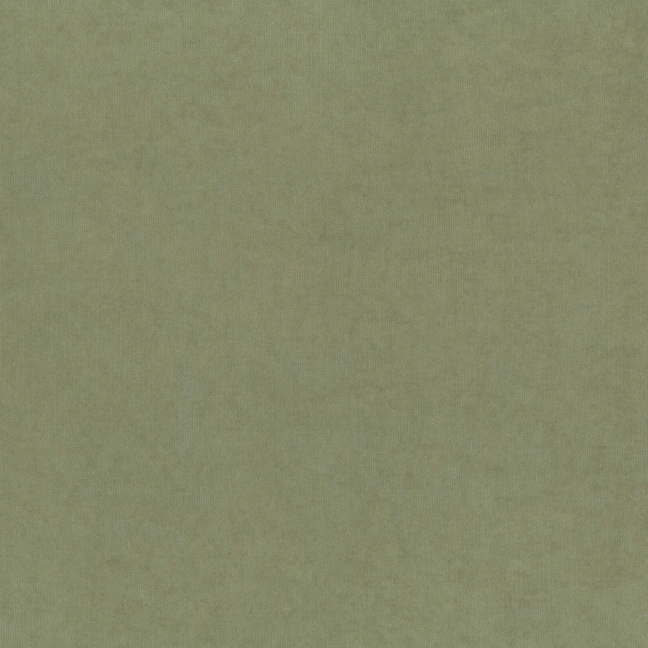 Seagrass 919 | Toudor