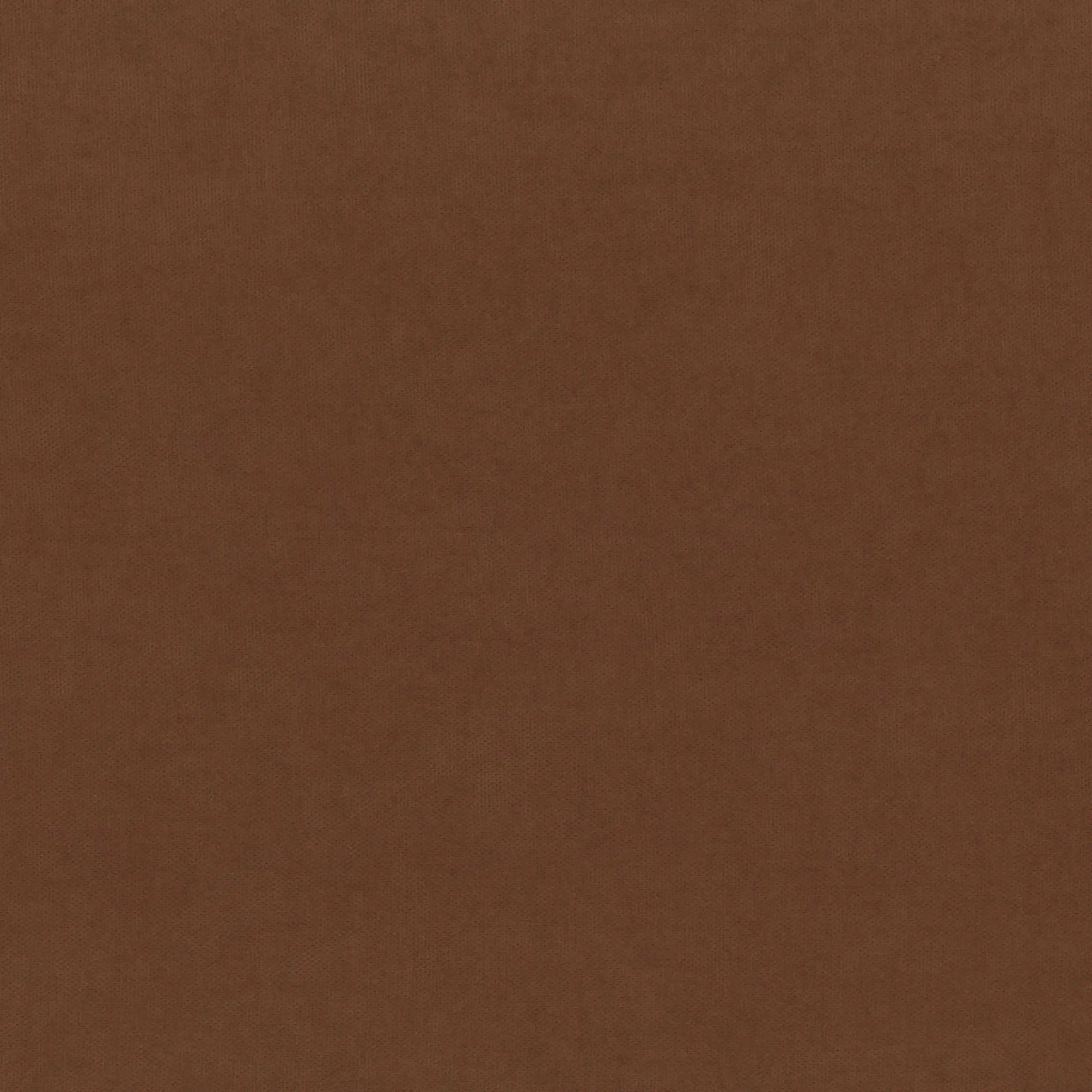 Sorrel Horse 193 | Toudor