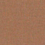 Apricot Orange 08 | Watson