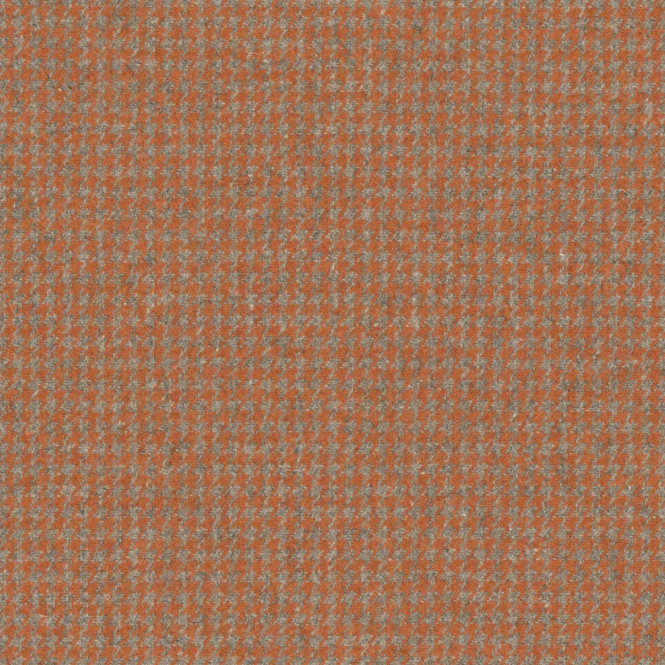 Apricot Orange 08 | Watson