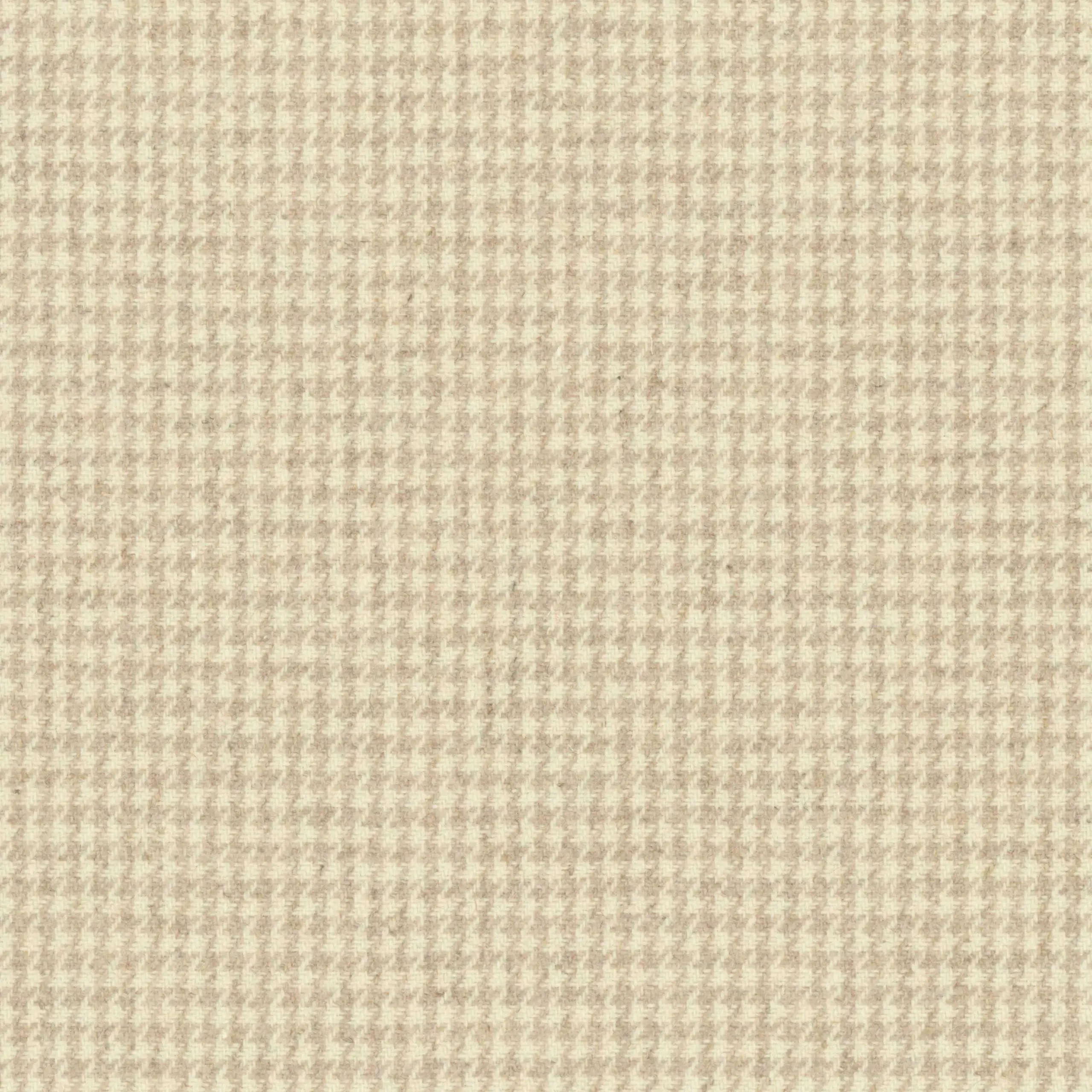 Birch 12 | Watson