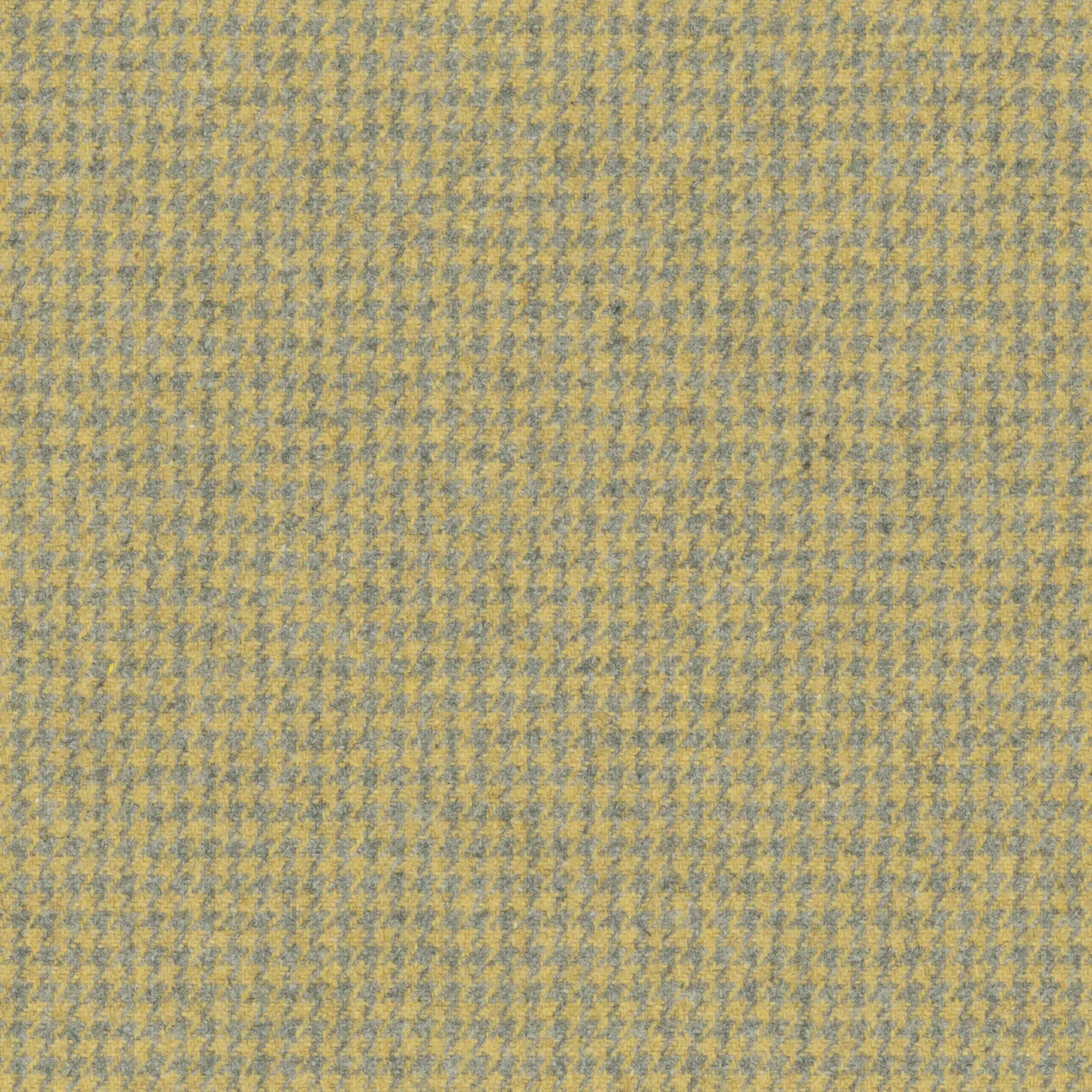 Oil Yellow 07 | Watson