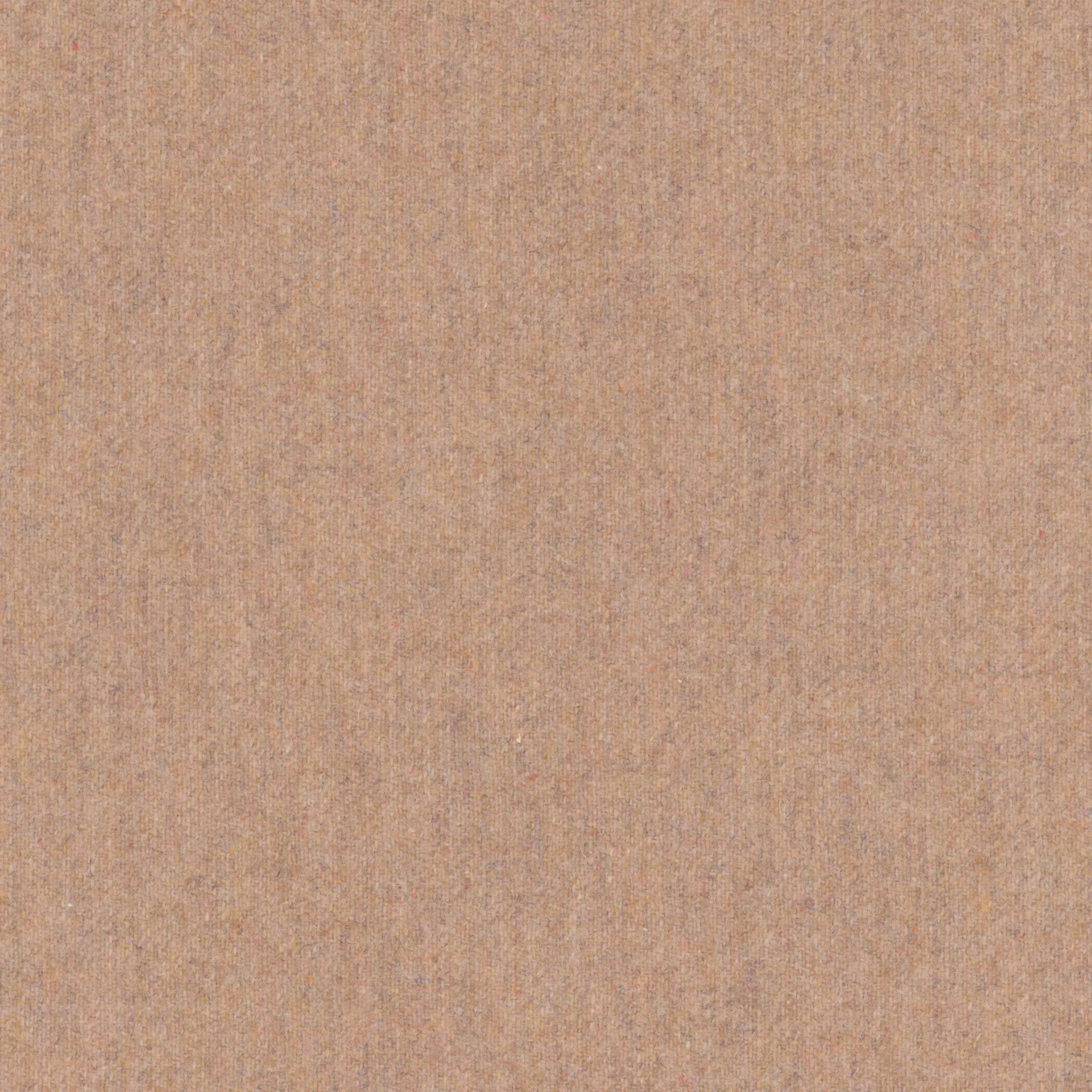 Machogany Rose 74 | Wool
