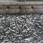Su | Tiles