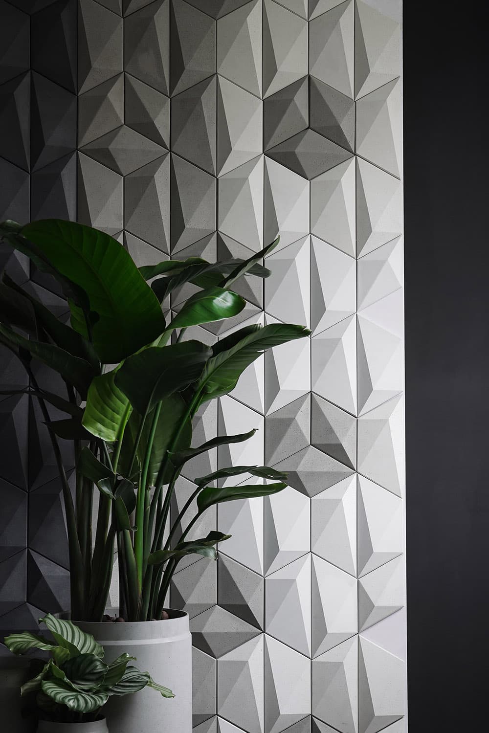 SAN M Decorative Tiles | Tiles
