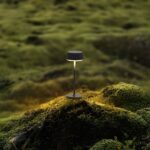 Lisa | Table Lamps