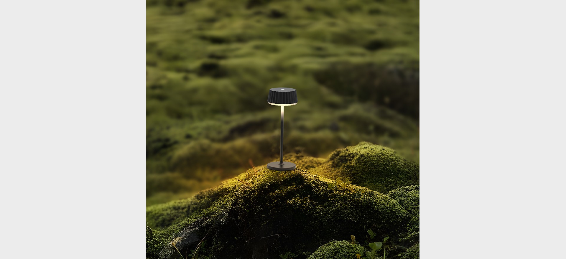 Lisa | Table Lamps