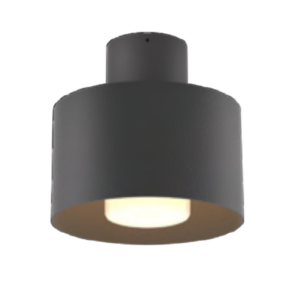 Amora Collection