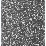 Shell Brick | Tiles