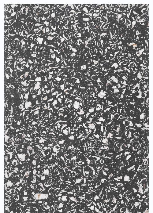 Shell Brick