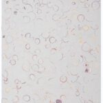 Shell Brick | Tiles