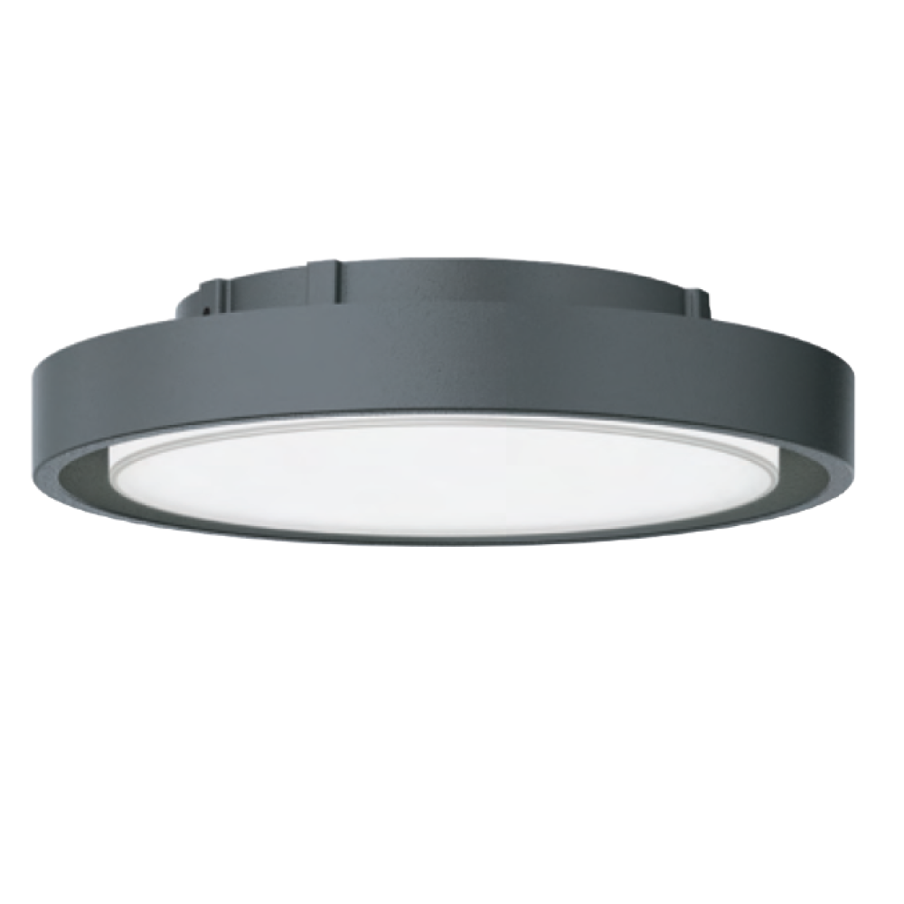 Pina | Wall Lights