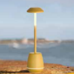 Torch | Table Lamps