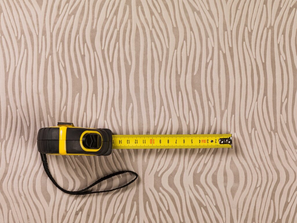 Zebra Stav