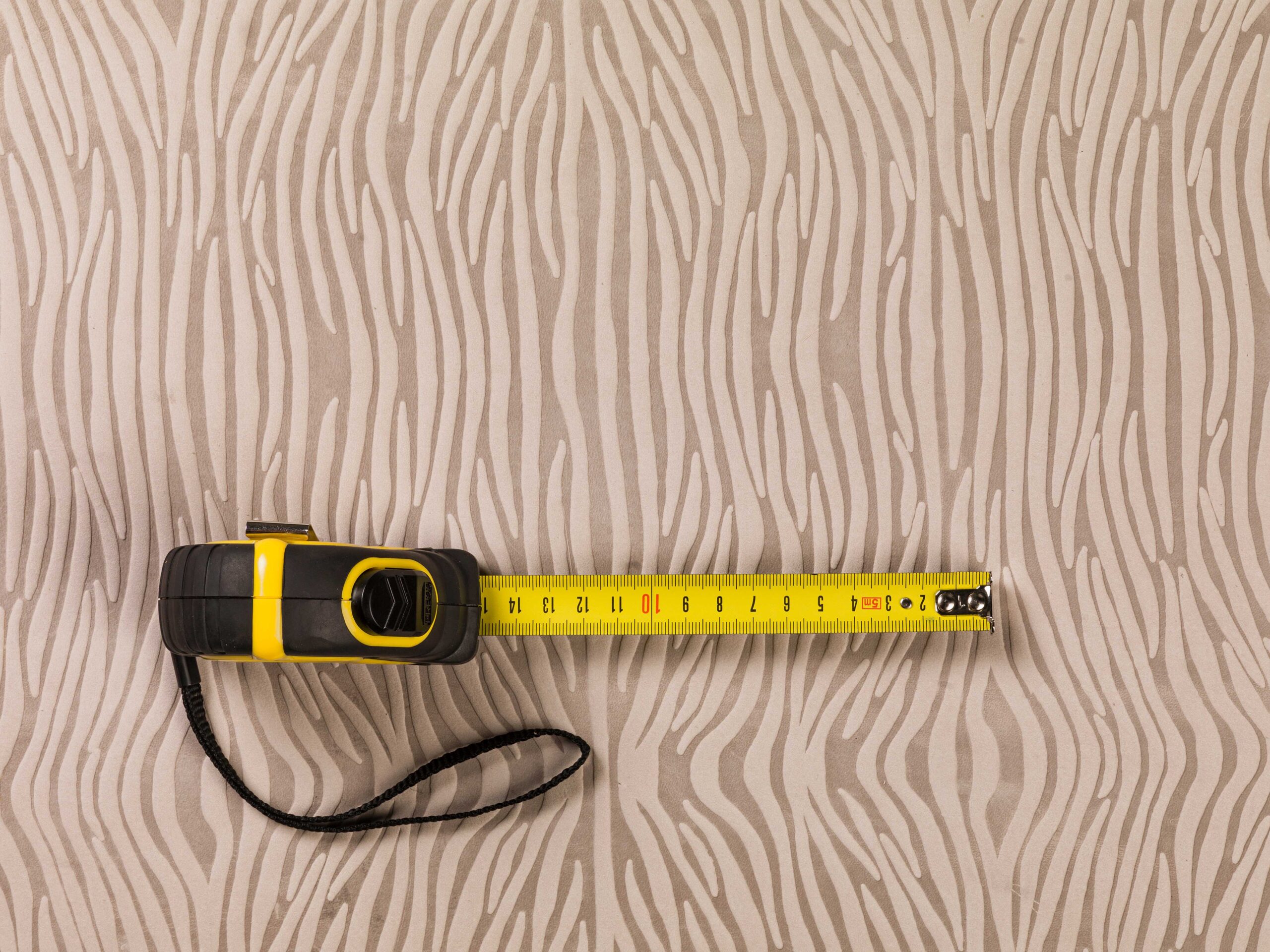 Zebra Stav | Embossed