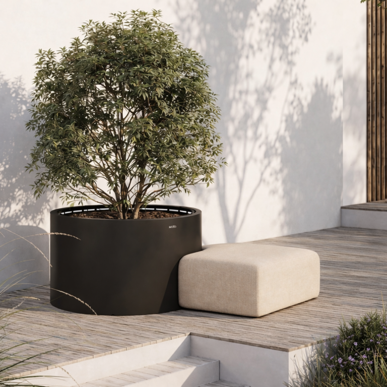 Cruiser