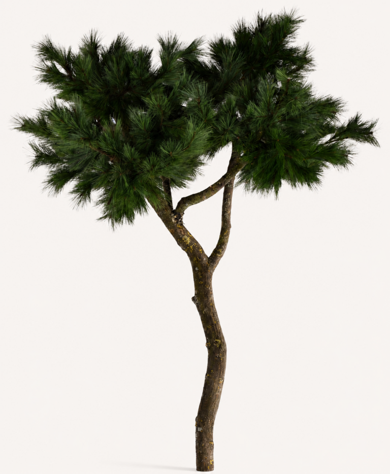 Semi-Artificial Greens